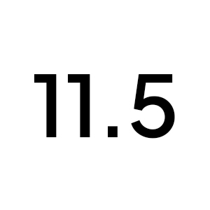11.5 (EU 45)